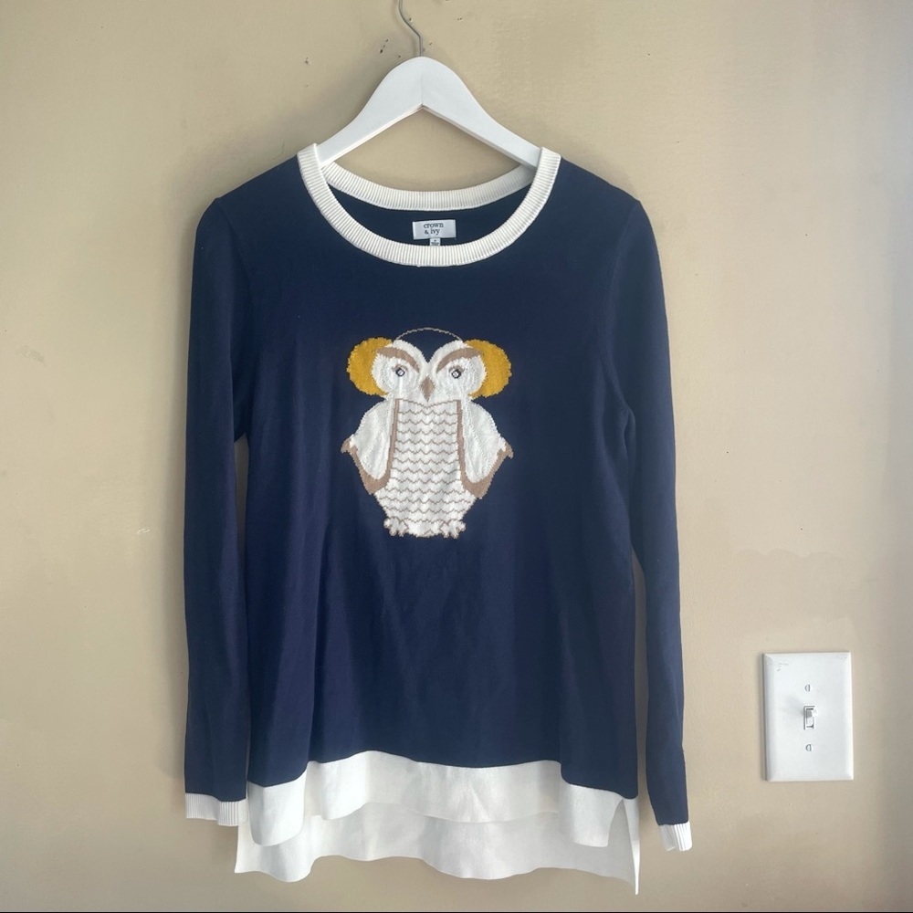 Crown & ivy owl sweater (small)